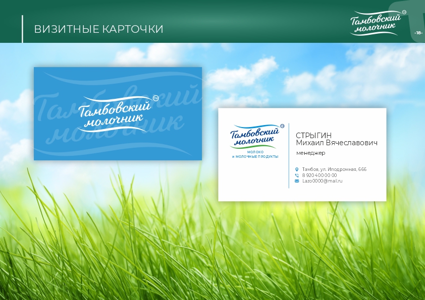 Тамбовский молочник брендбук18.jpg