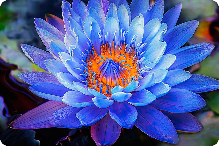 Телевизор Xiaomi TV S Mini LED 75 144HZ (2024)-описание-3.jpeg