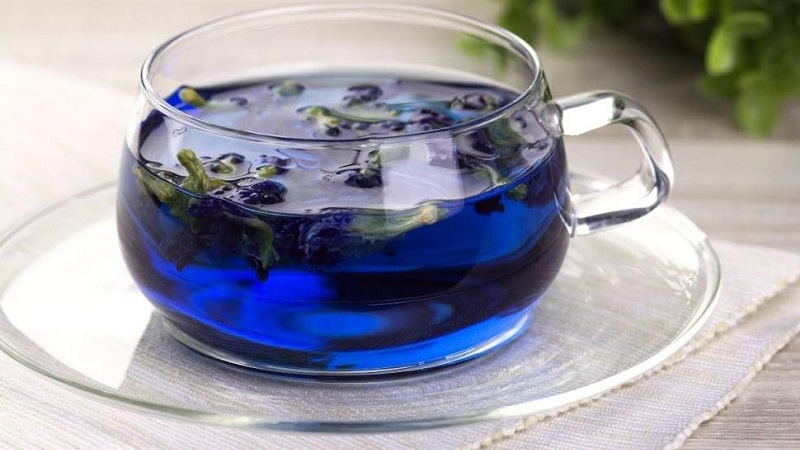 Чай пуэр: польза и вред для организма мужчин, женщин, детей