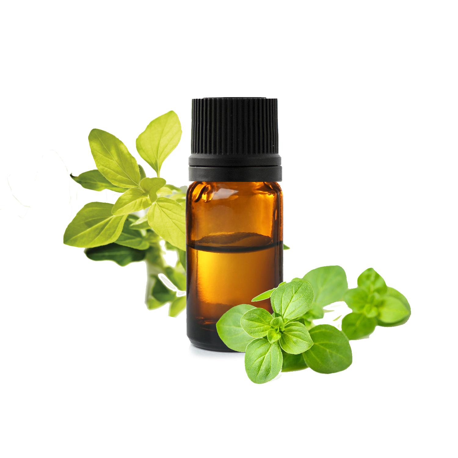 зеленый орегано.jfif