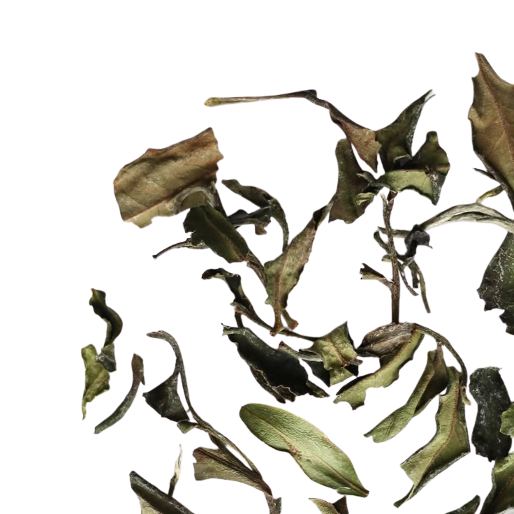 2dd97a62-816f-4444-af4a-64b9d16410c6.png