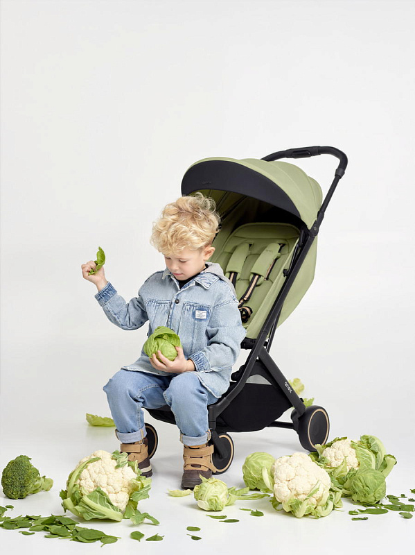 top-detskih-kolyasok-s-horoshimi-kolesami-5 top-detskih-kolyasok-s-horoshimi-kolesami-5.png