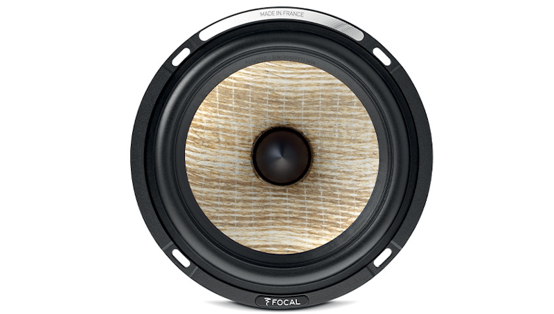 Напольная акустика Focal Aria Evo X No. 3 драйвер