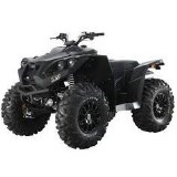 Dinli ATV 800 D
