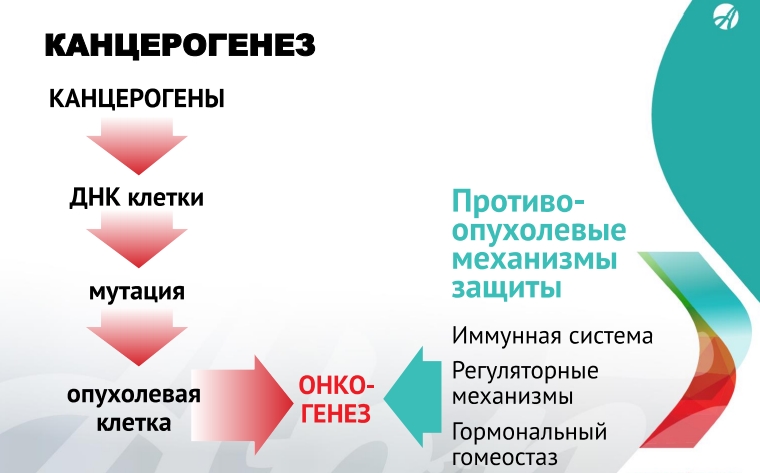 Иммунная карта. Термопластичные и термореактивные полимеры таблица. Когнитивные процессы. Когнитиьивнве процесса. Свойства термопластичных и термореактивных полимеров.