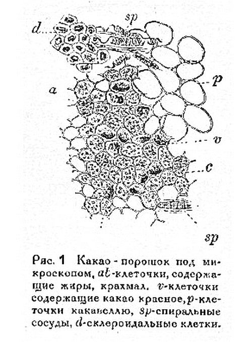 Какаопорошок_под_микроскопом.jpg