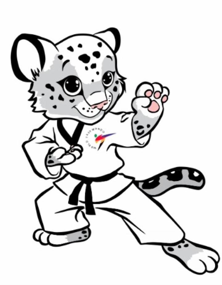 Снежный барс.jpg