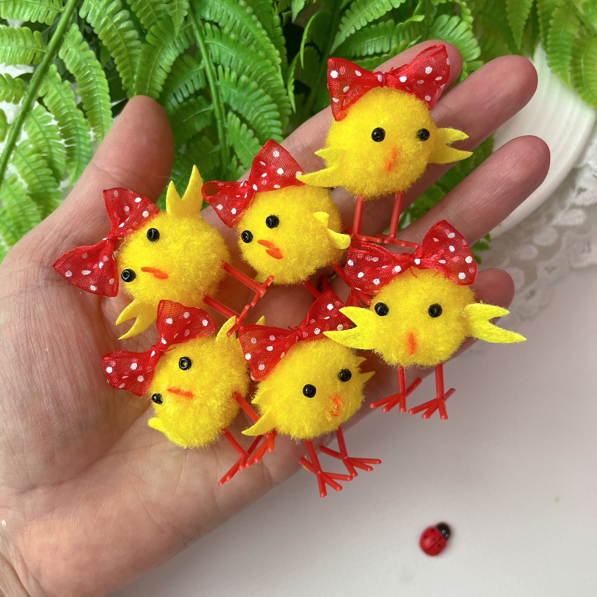 IMG_8410 IMG_8410.jpg