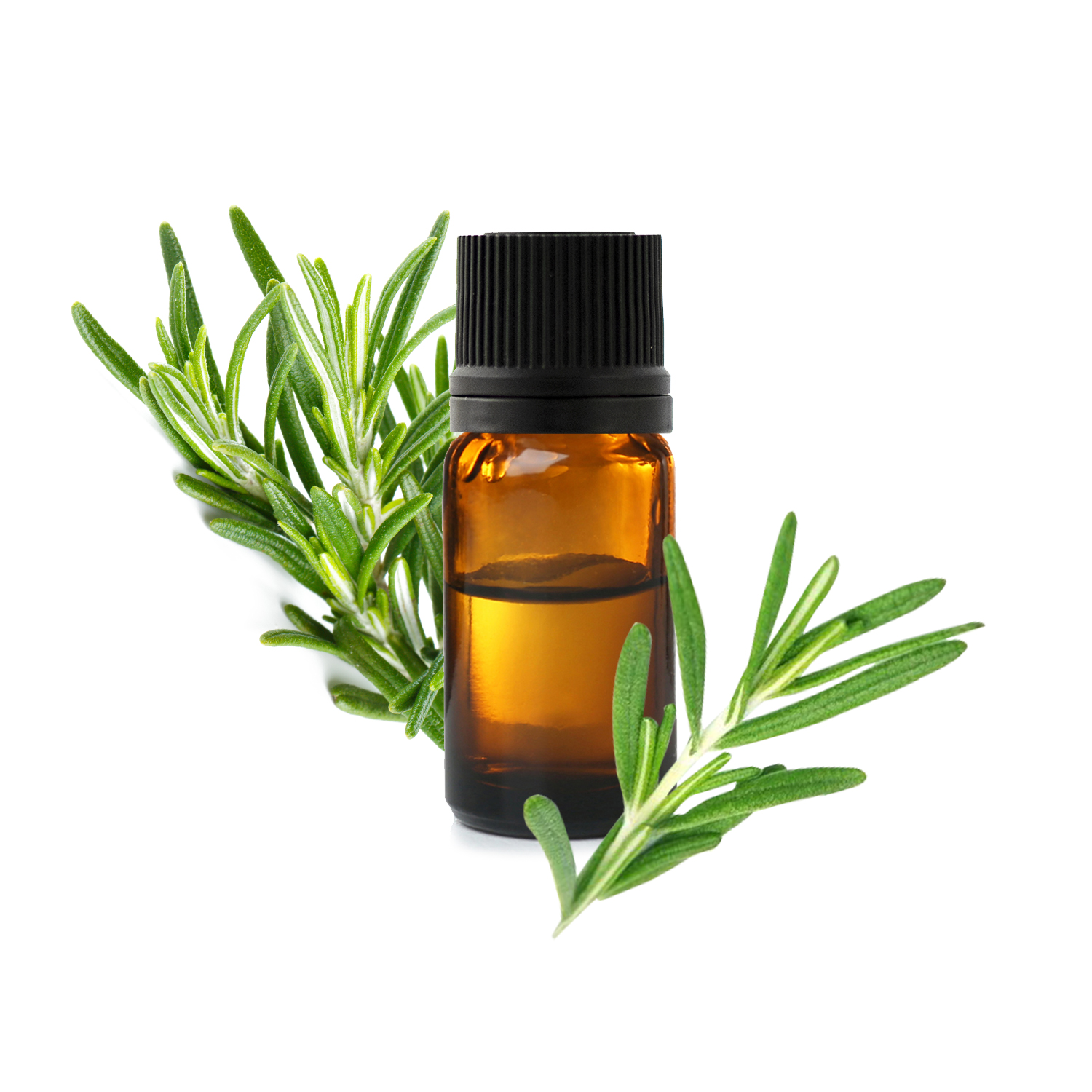 Розмарин с цинеолой Розмарин с цинеолой.jfif