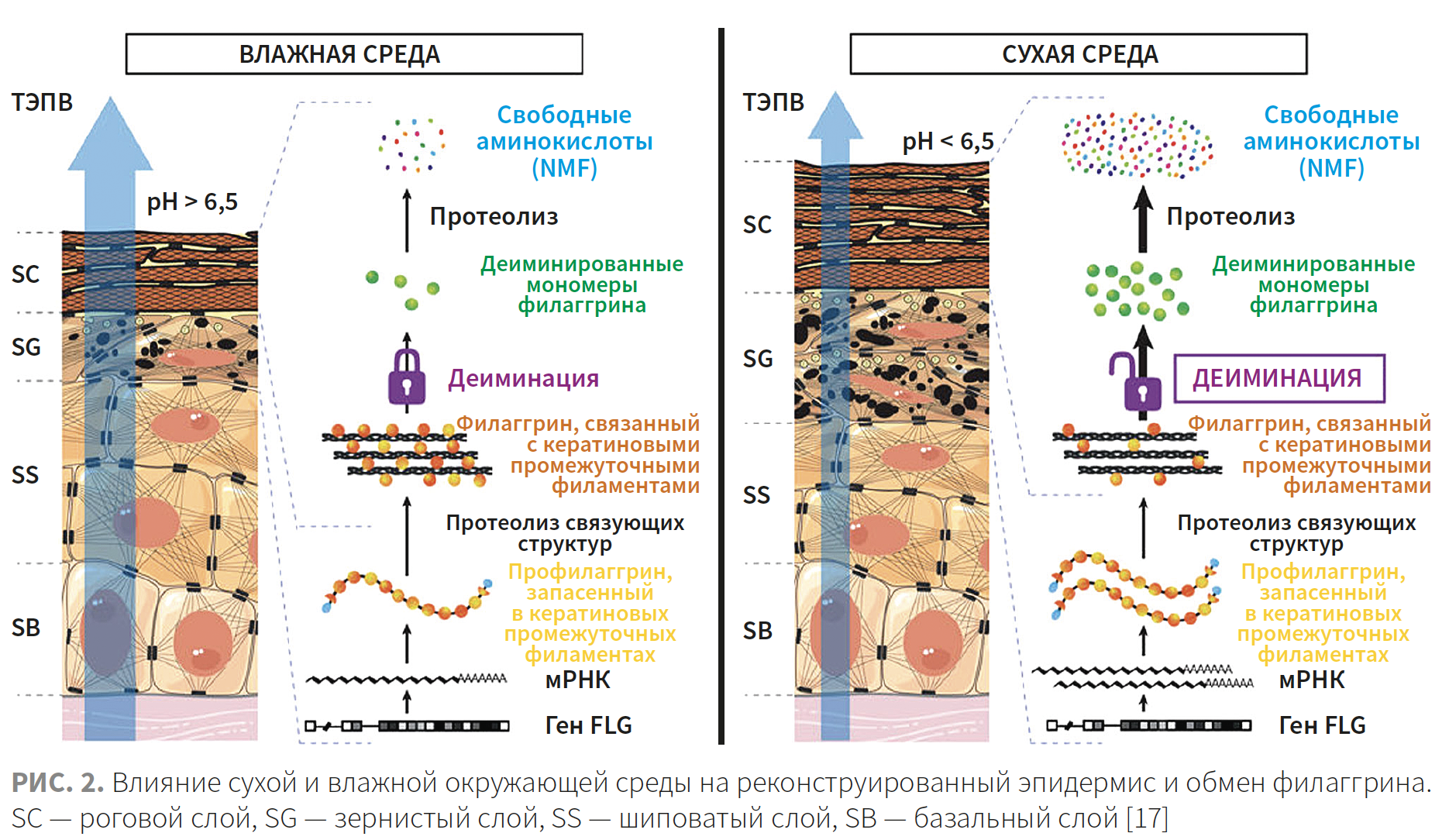 Рудева (ЭлмТри) КМ 2-2023 Рис 2.png