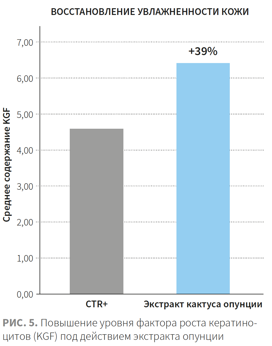 Рудева (ЭлмТри) КМ 2-2023 Рис 5.png