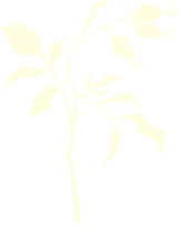 САЦКИВ ГАСТРОХУДОЖНИКИ