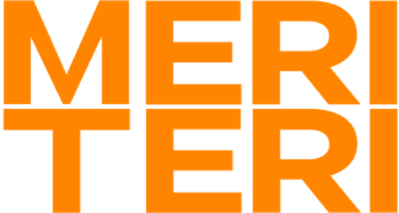 MERI TERI