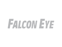 falcon eye.png