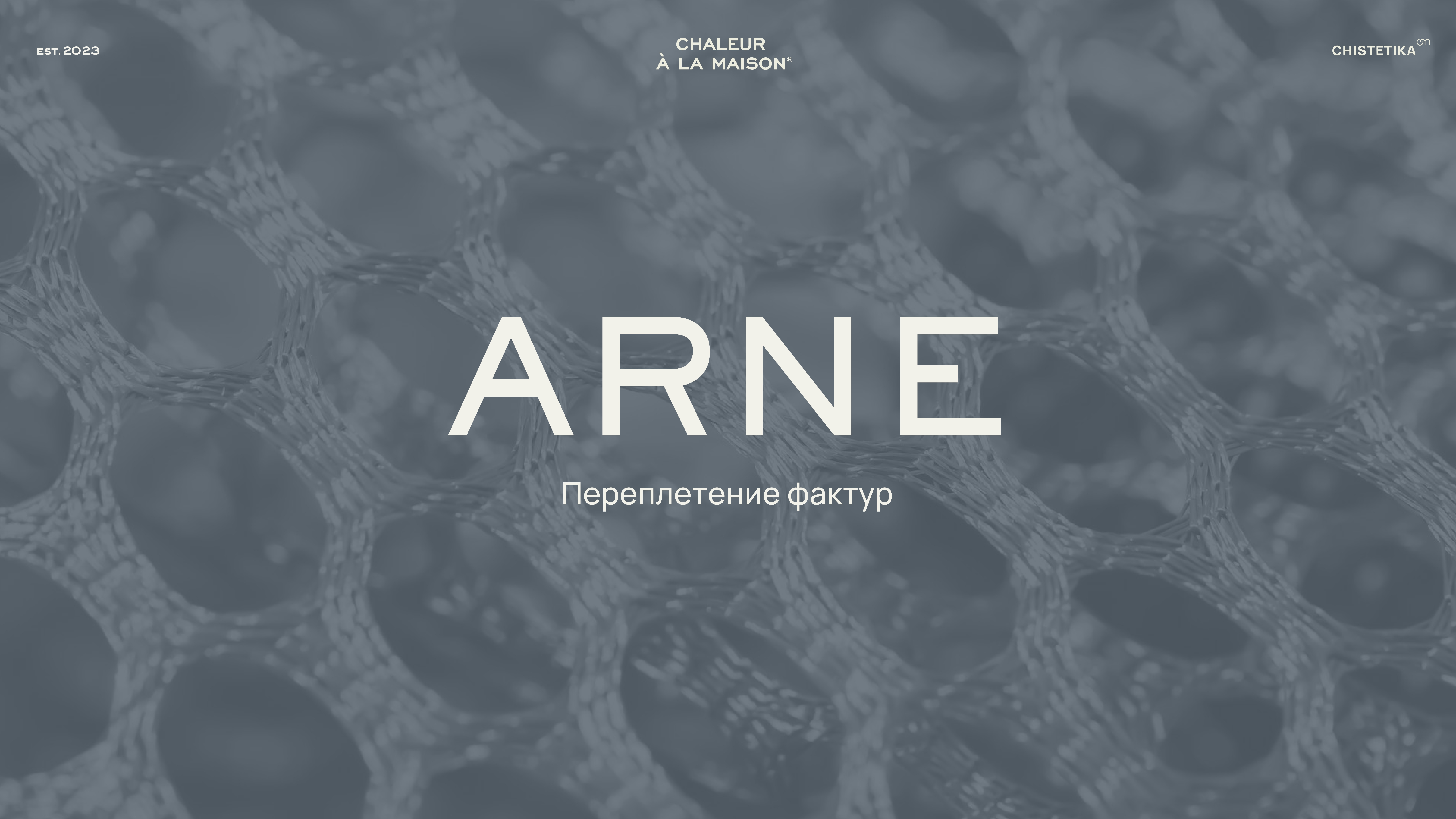 ARNE_presentation_ARNE презентация_page-0001.jpg