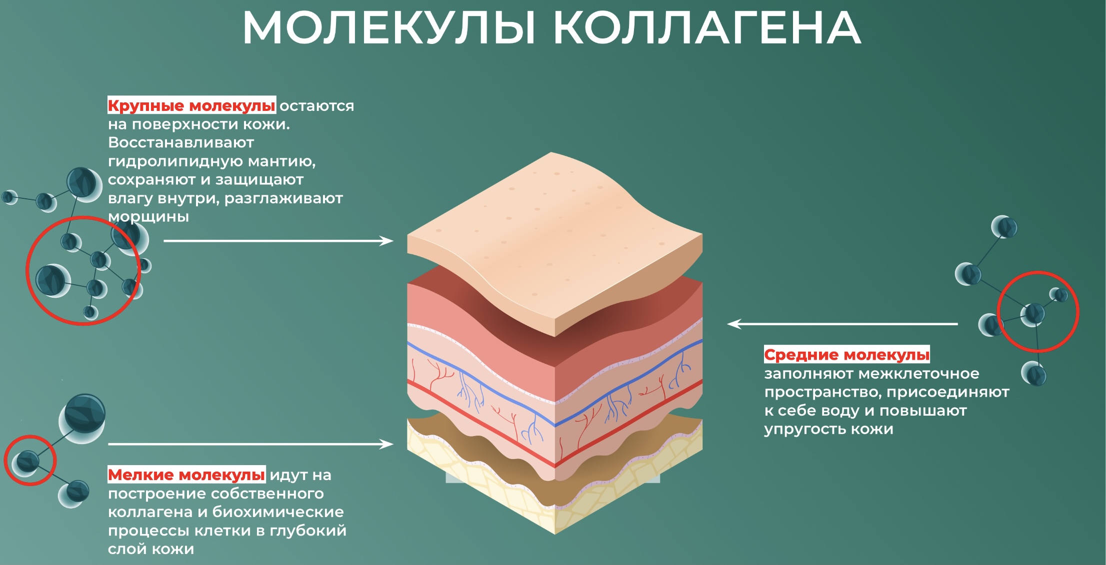 качество спермы после 40 фото 50