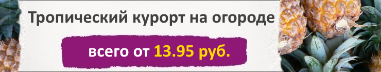 Купить Экзотические растения, цена низкая, доставка почтой наложенным платежом по России, курьером по Москве - интернет-магазин АгроБум