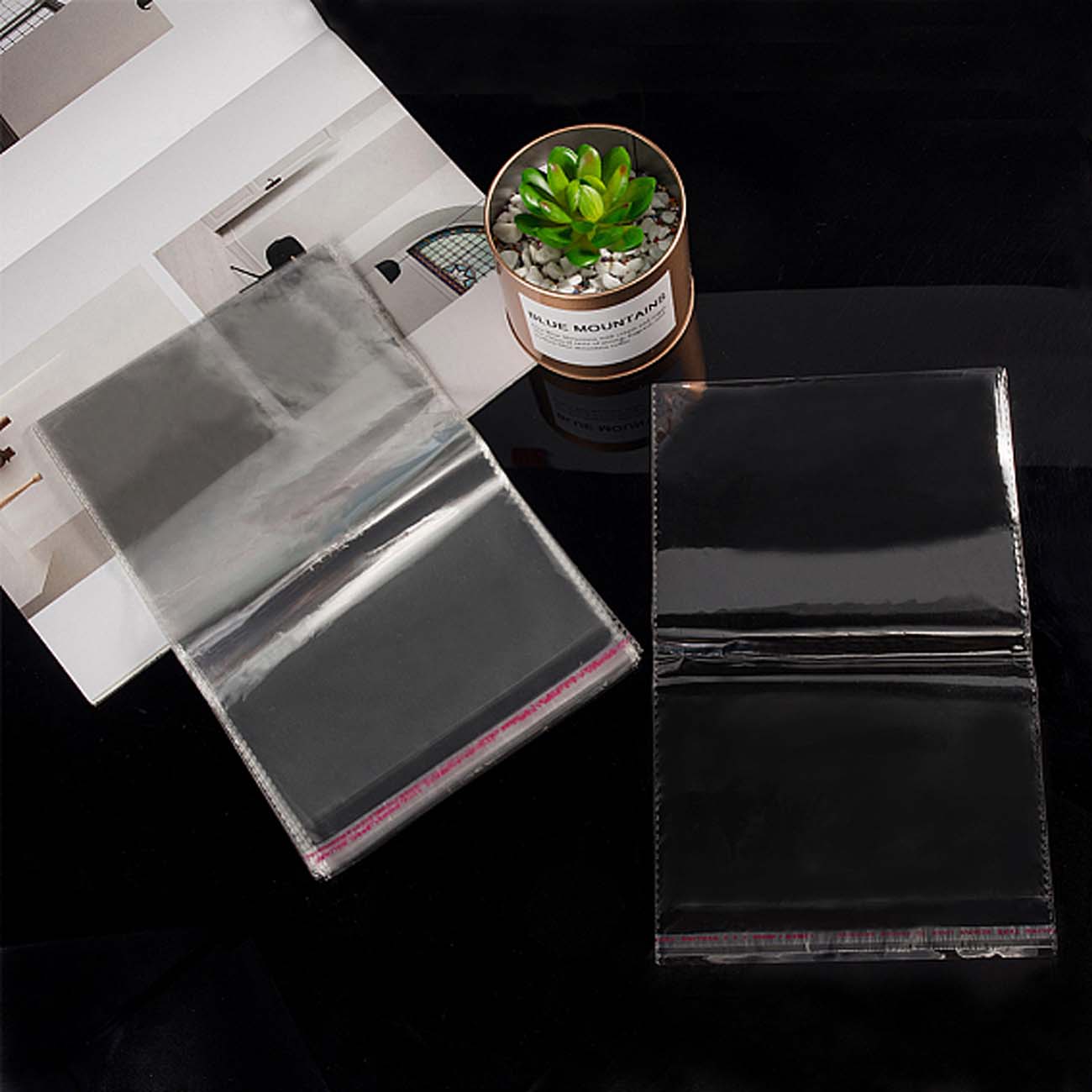 the-bag-with-sticky-tape-transparent-323.jpg