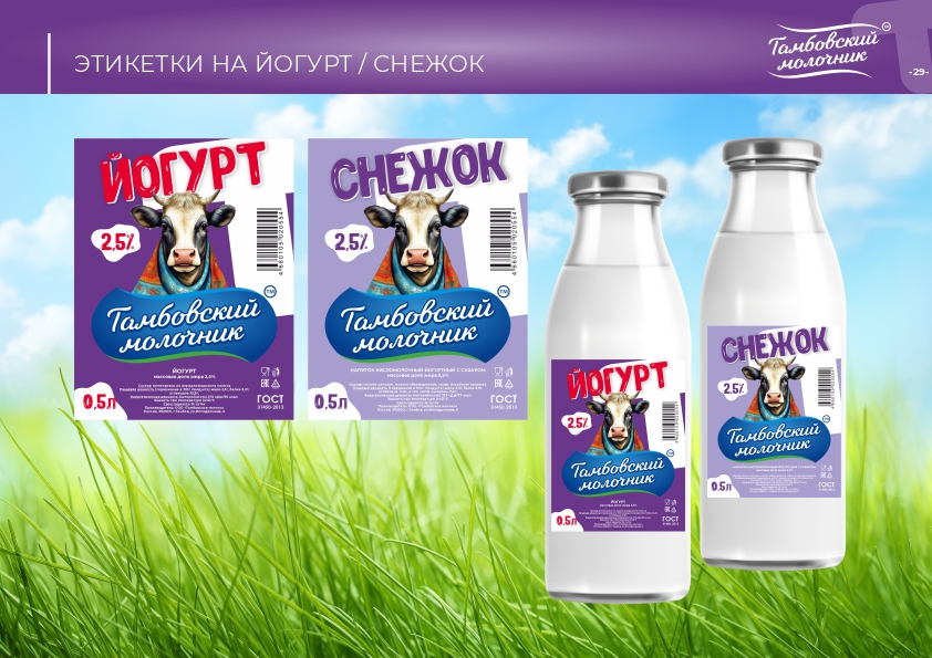 Тамбовский молочник брендбук29.jpg
