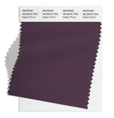 Модные цвета осень-зима 2024-2025 по версии PANTONE-linenby.by