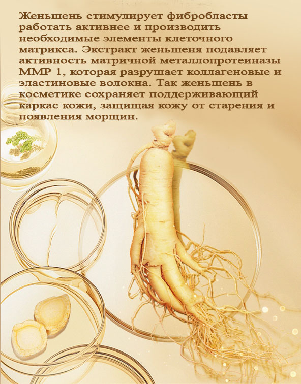 89шн6.jpg