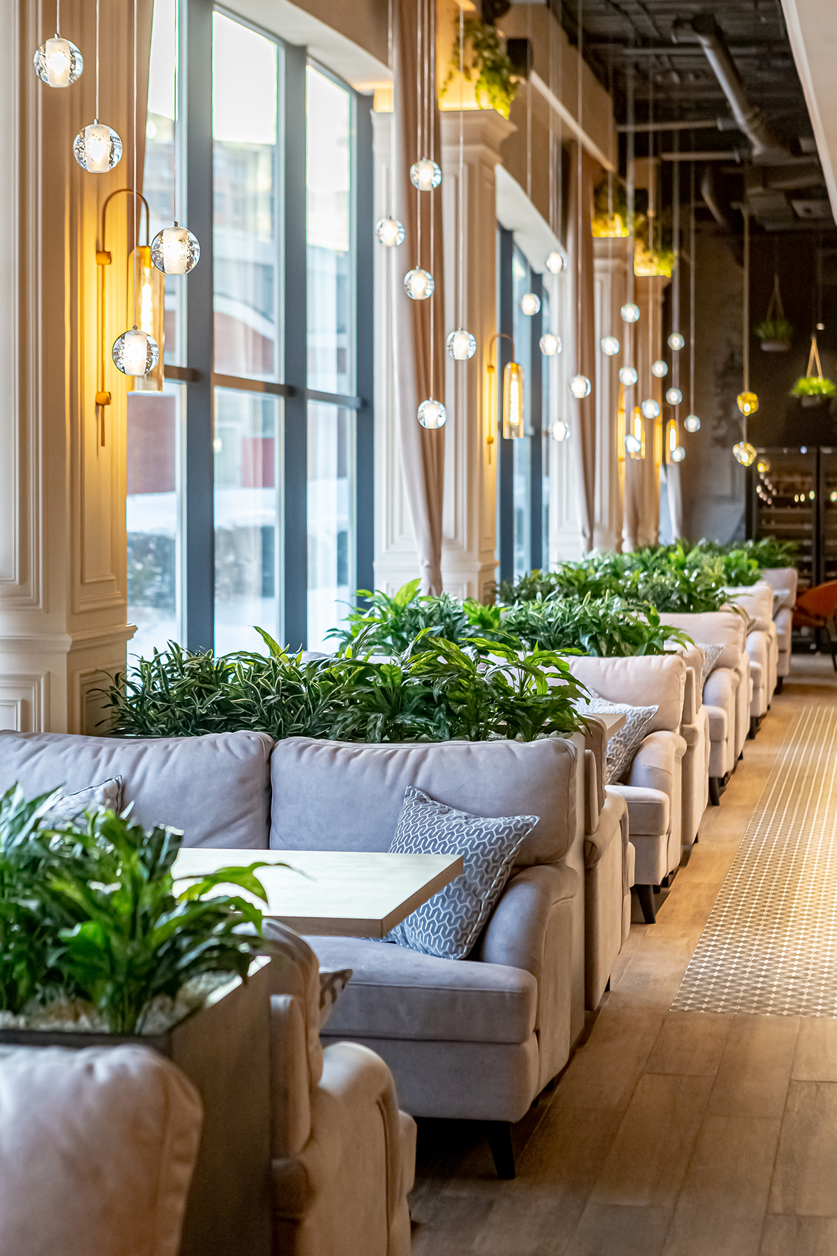 Озеленение кафе и ресторанов