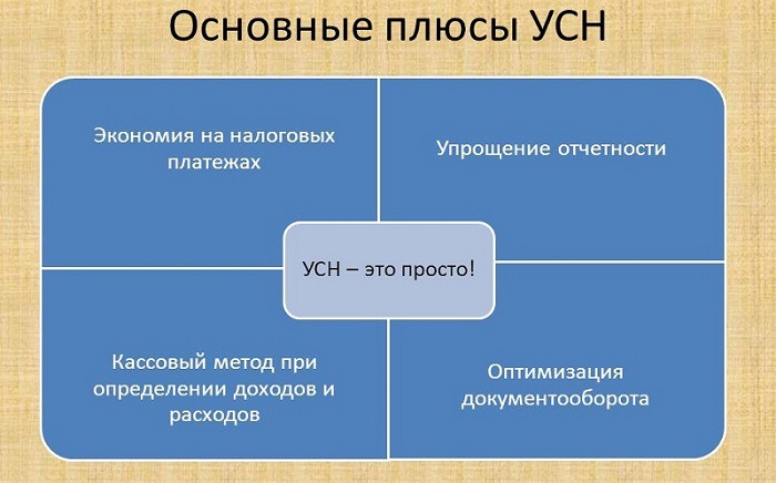 плюсы усн