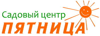СЦ Пятница