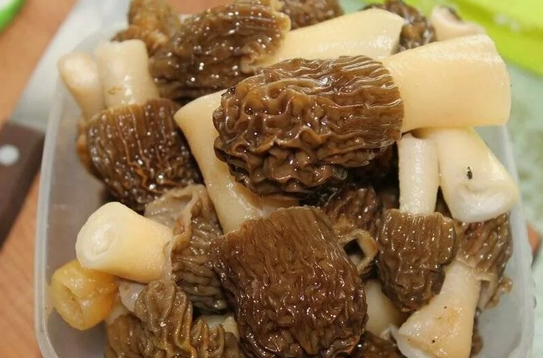 Мытые сморчки