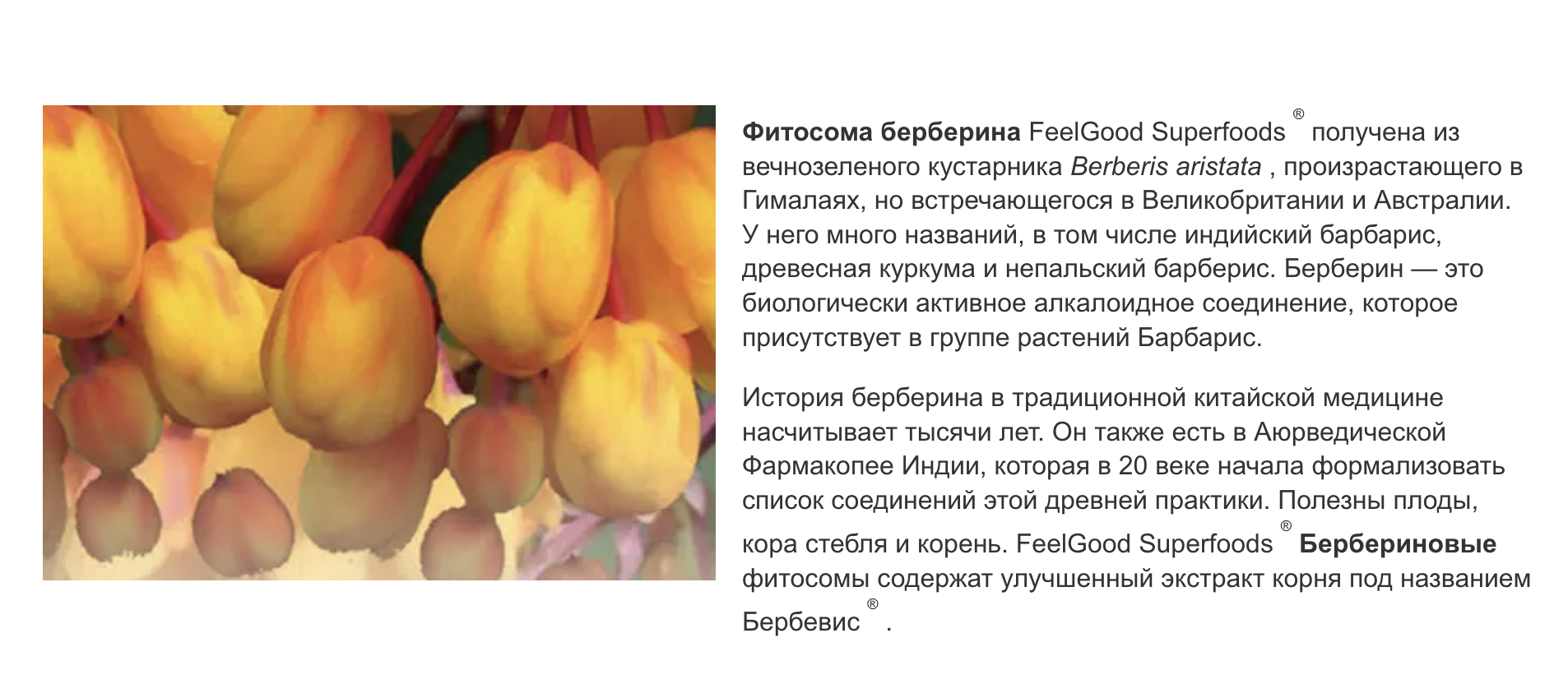 Снимок экрана 2024-04-30 в 11.36.49 AM.png