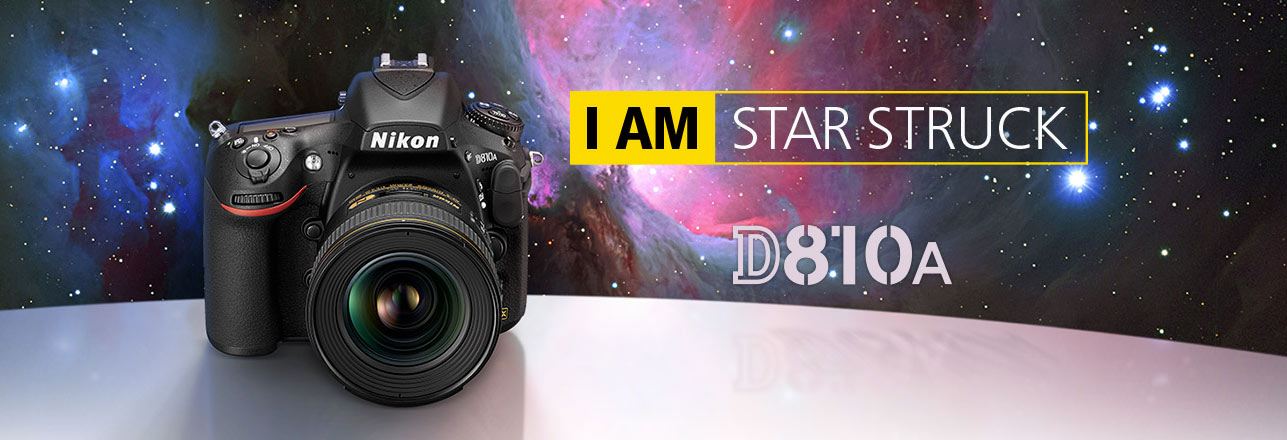 d810a.jpg