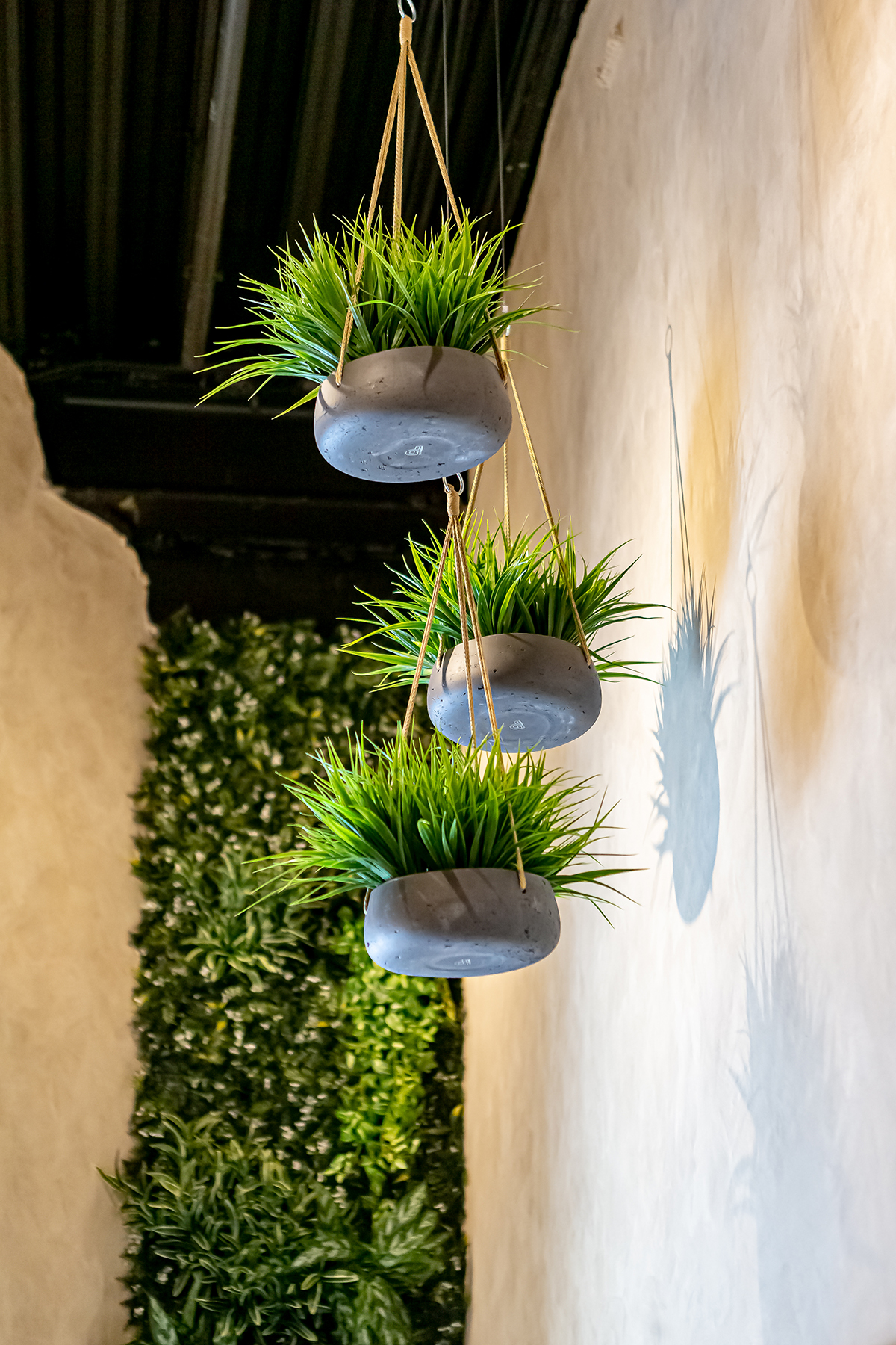 Подвесные кашпо с растениями на потолок