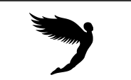 Fly