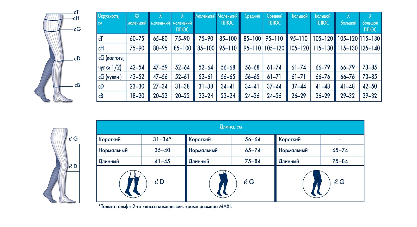Чулки Сигварис Размерная сетка компрессионные чулки
