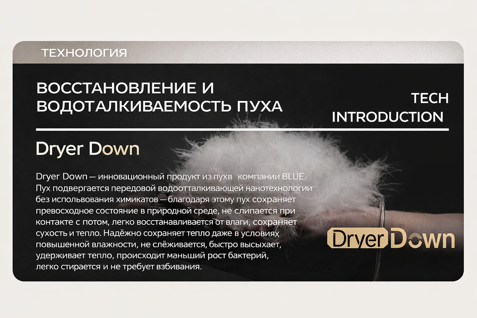 ChatGPT Image 20 янв. 2026 г., 19_56_08.png