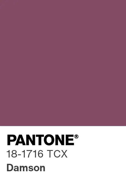 PANTONE 18-1716 Damson