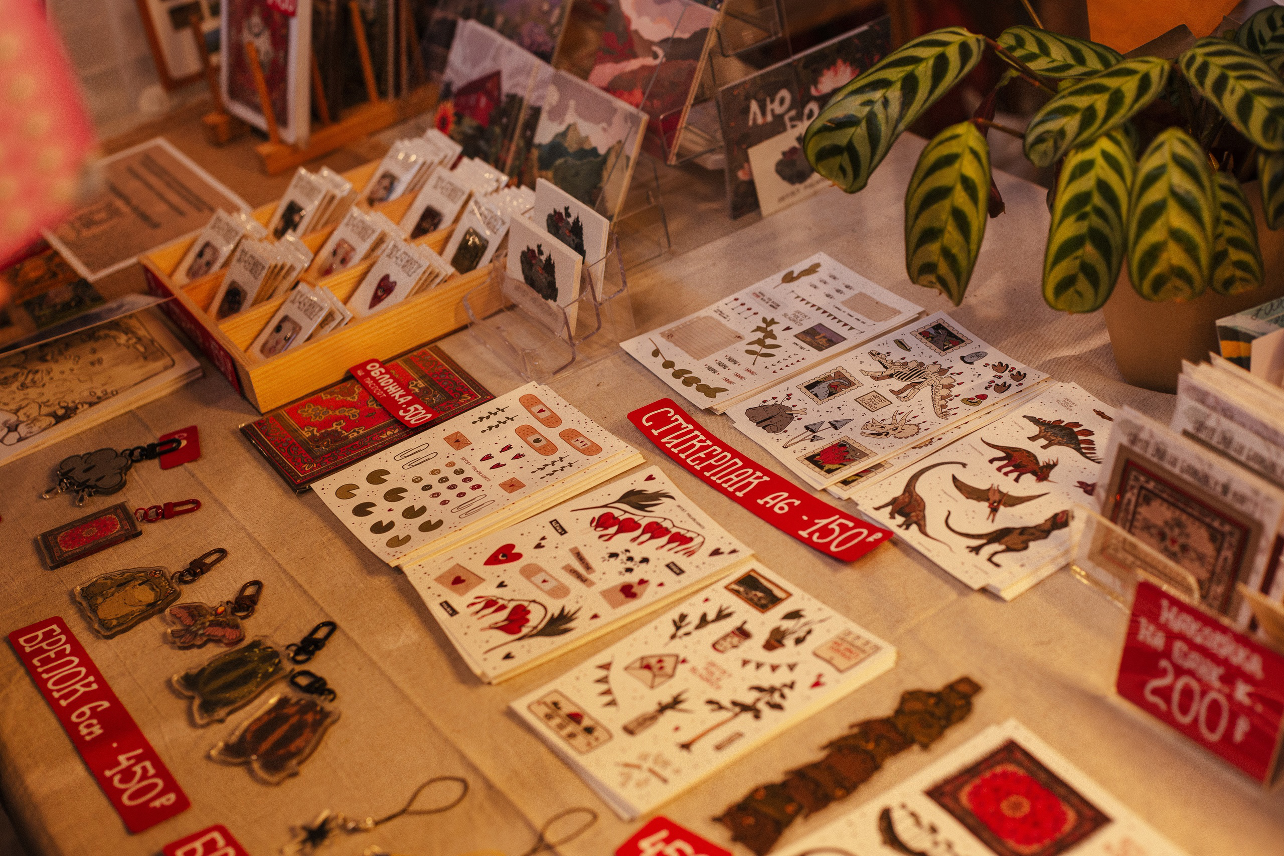 IMG_1561 IMG_1561.jpg