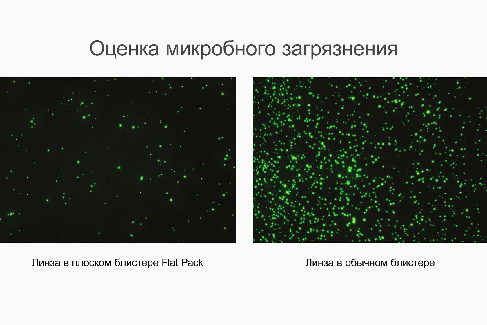 _-02.png _-02.png.webp