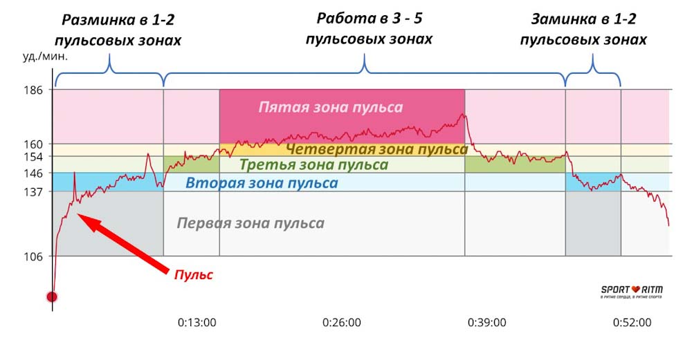 График пульса во время кардиотренировки