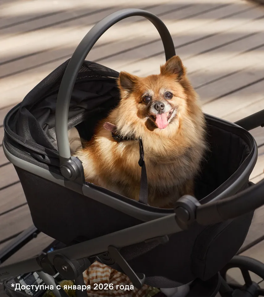 anex-modu-10-2 anex-modu-10-2.webp