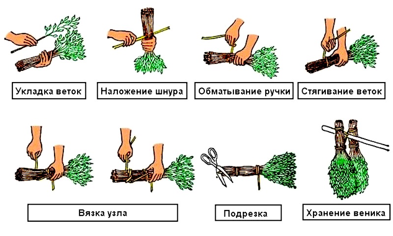 как вязать дубовые веники