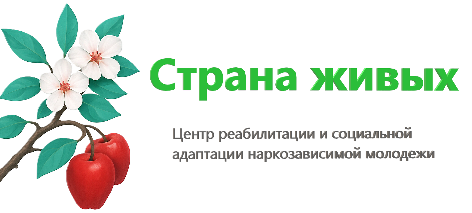 Центр социальной реабилитации наркозависимых Страна Живых