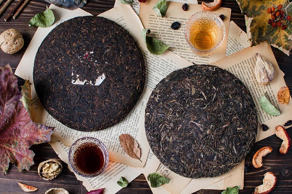 Чай Шен Пуэр - полезные свойства, эффект, вкус, противопоказания