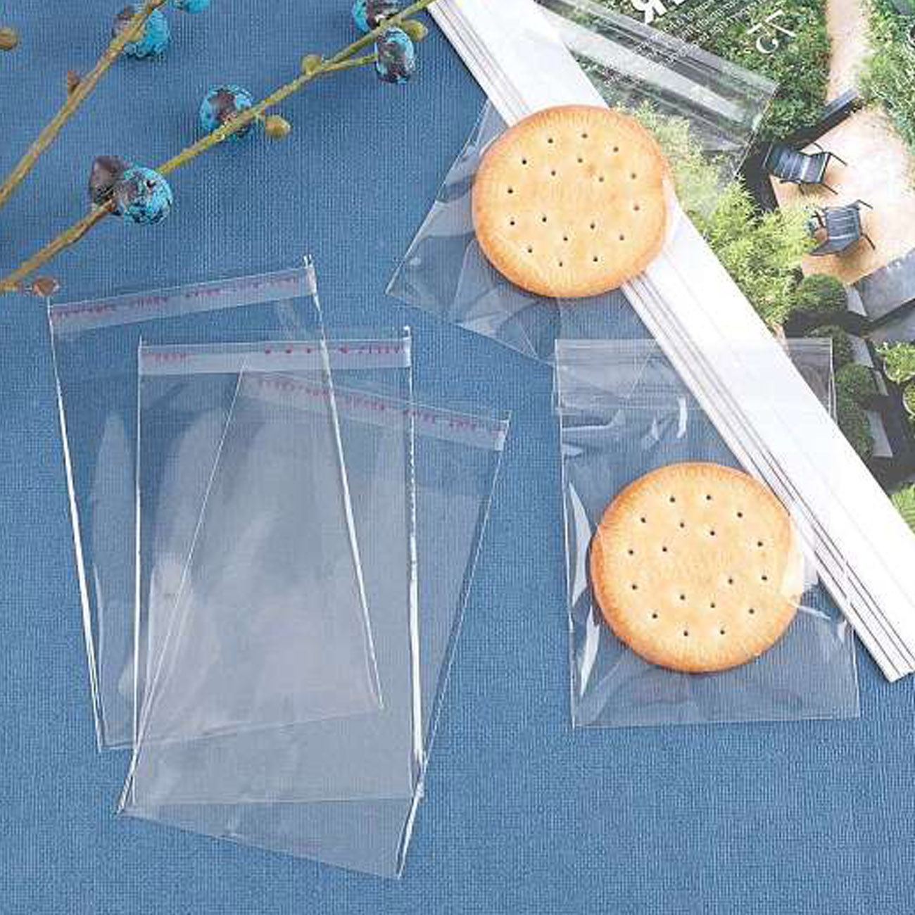 the-bag-with-sticky-tape-transparent-556