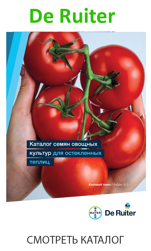 de_ruiter_каталог_2025.jpg