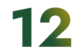 12 лет с вами
