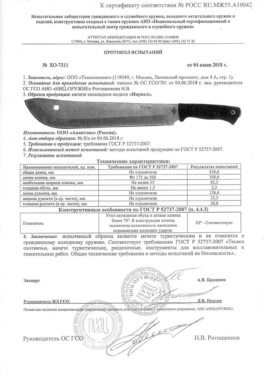 нарвал нарвал.jpg
