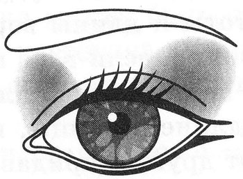 Макияж щелевидных (узких) глаз
