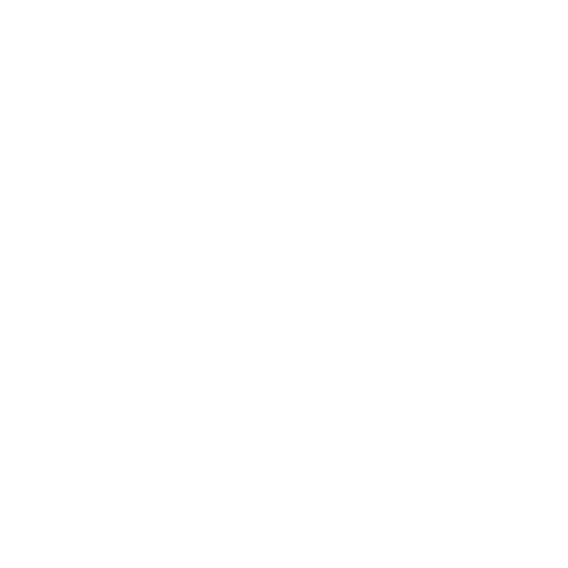 DISCO DOGE
