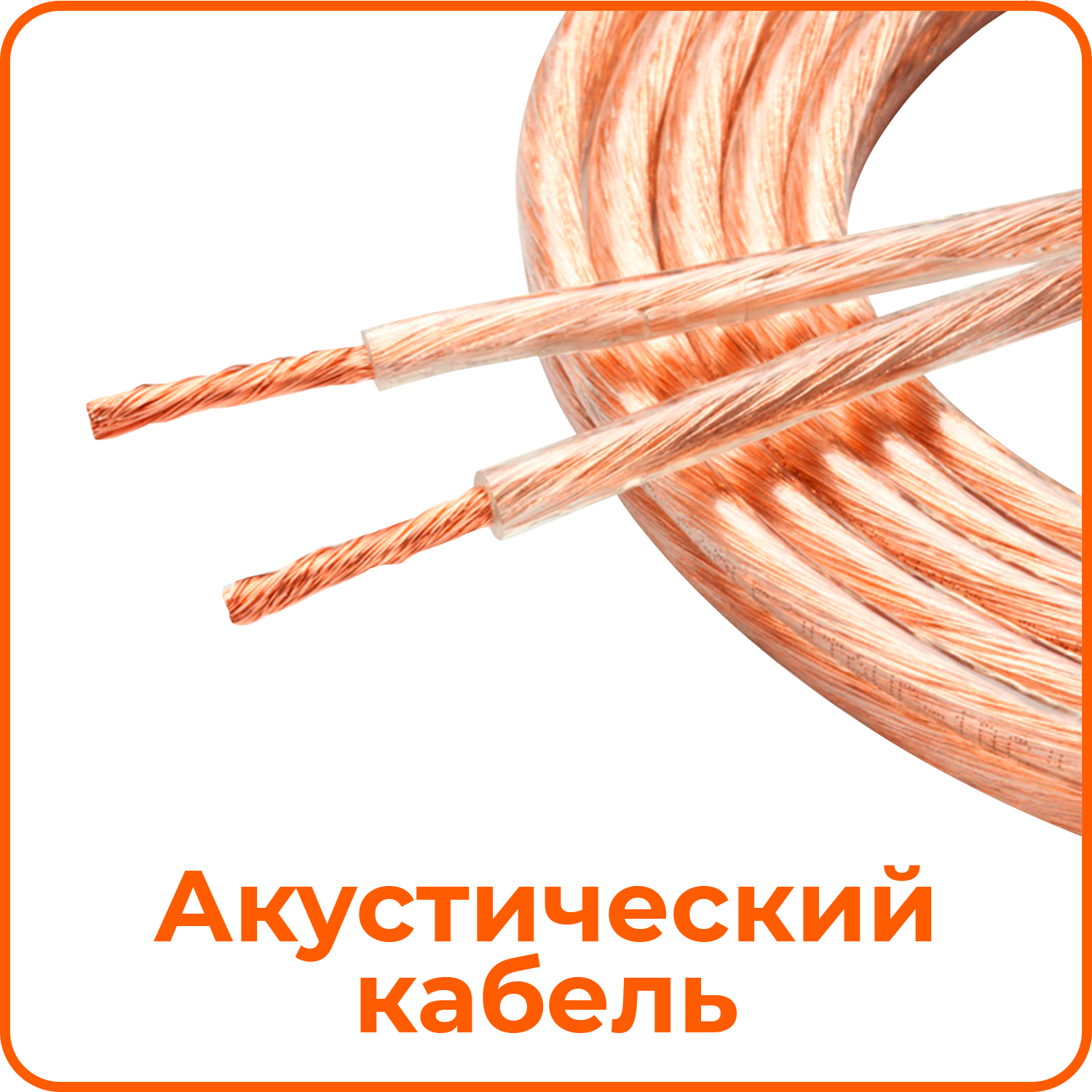 20.png
